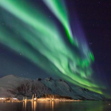 Arctic City Studio - Perfectly Located In The Main Street Tromsø Eksteriør bilde