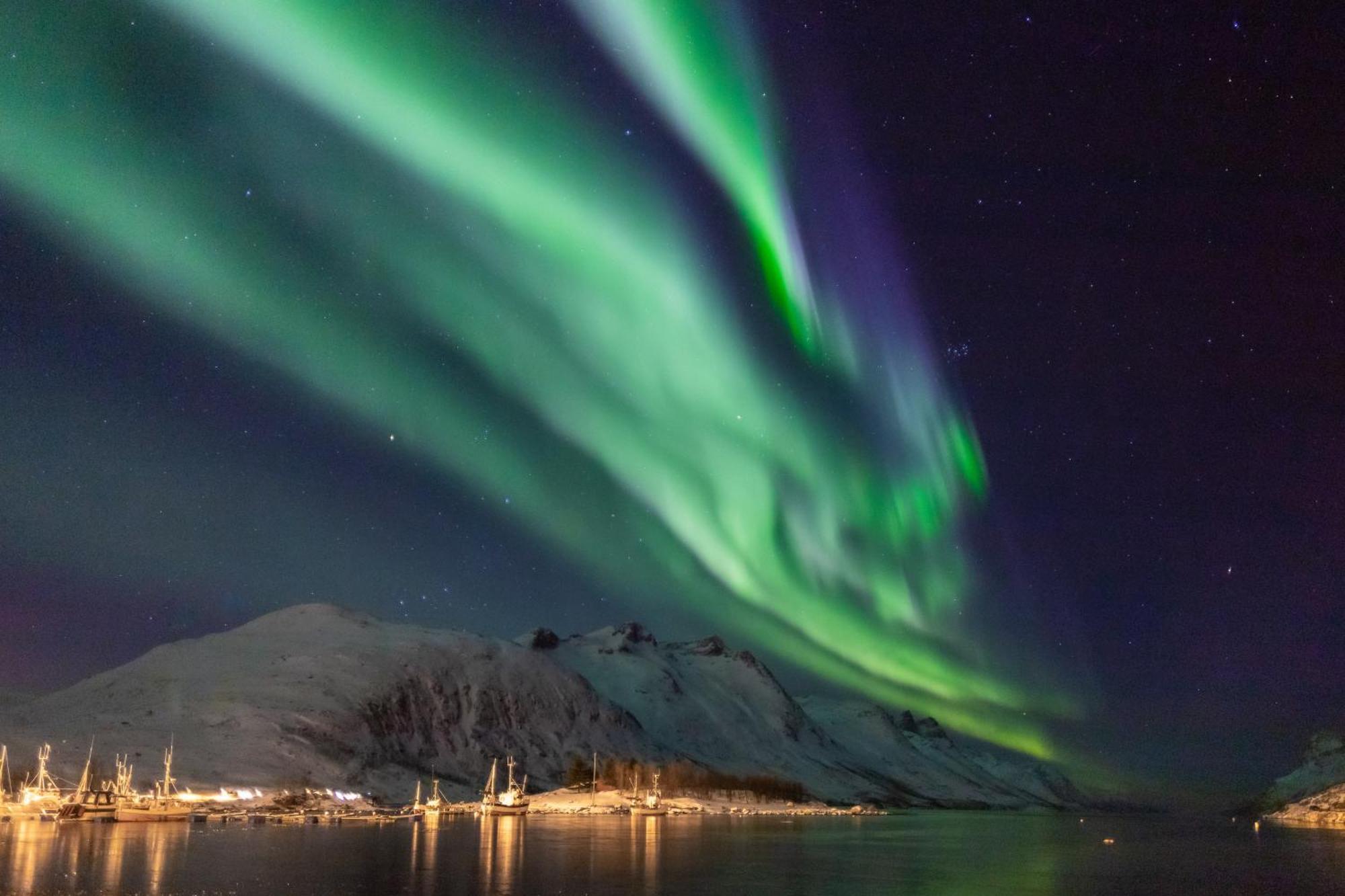 Arctic City Studio - Perfectly Located In The Main Street Tromsø Eksteriør bilde